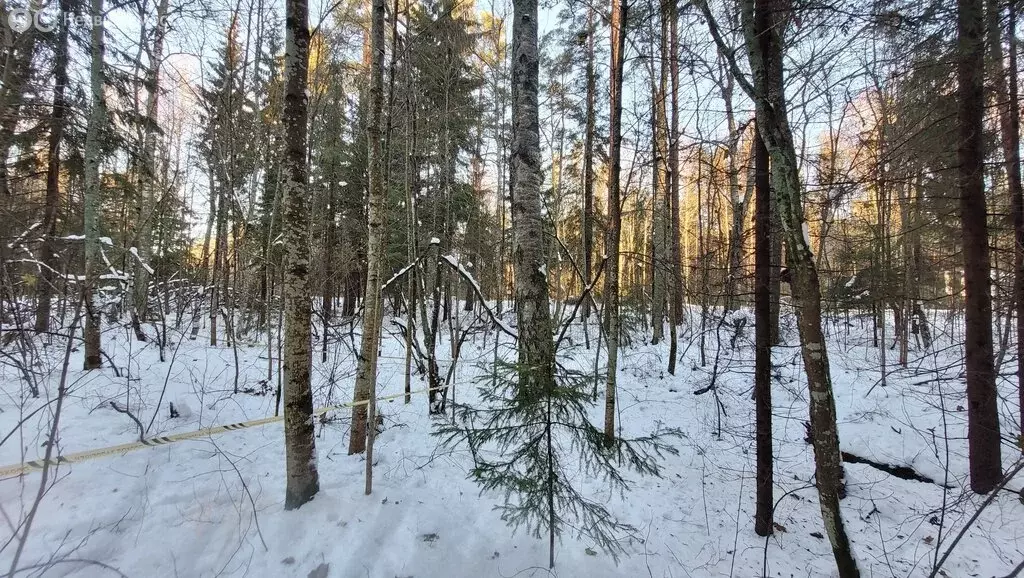 Участок в Выборгский район, Советское городское поселение, посёлок ... - Фото 0