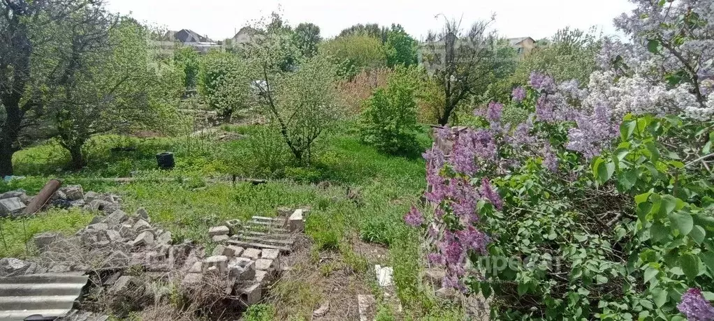 Участок в Волгоградская область, Краснослободск Среднеахтубинский ... - Фото 0