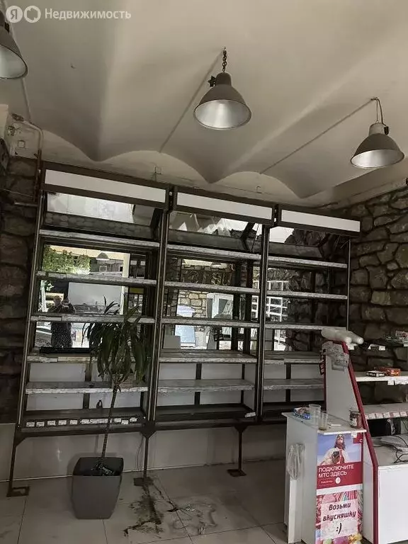 Помещение свободного назначения (206 м) - Фото 2