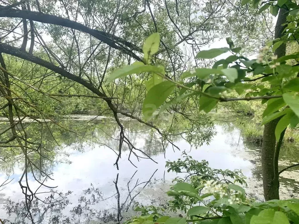 Дом в Калужская область, Село Ферзиково с/пос, д. Китаево 11 (50 м) - Фото 0