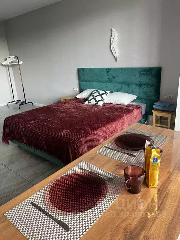 Студия Ростовская область, Таганрог ул. Чехова, 43 (30.0 м) - Фото 1