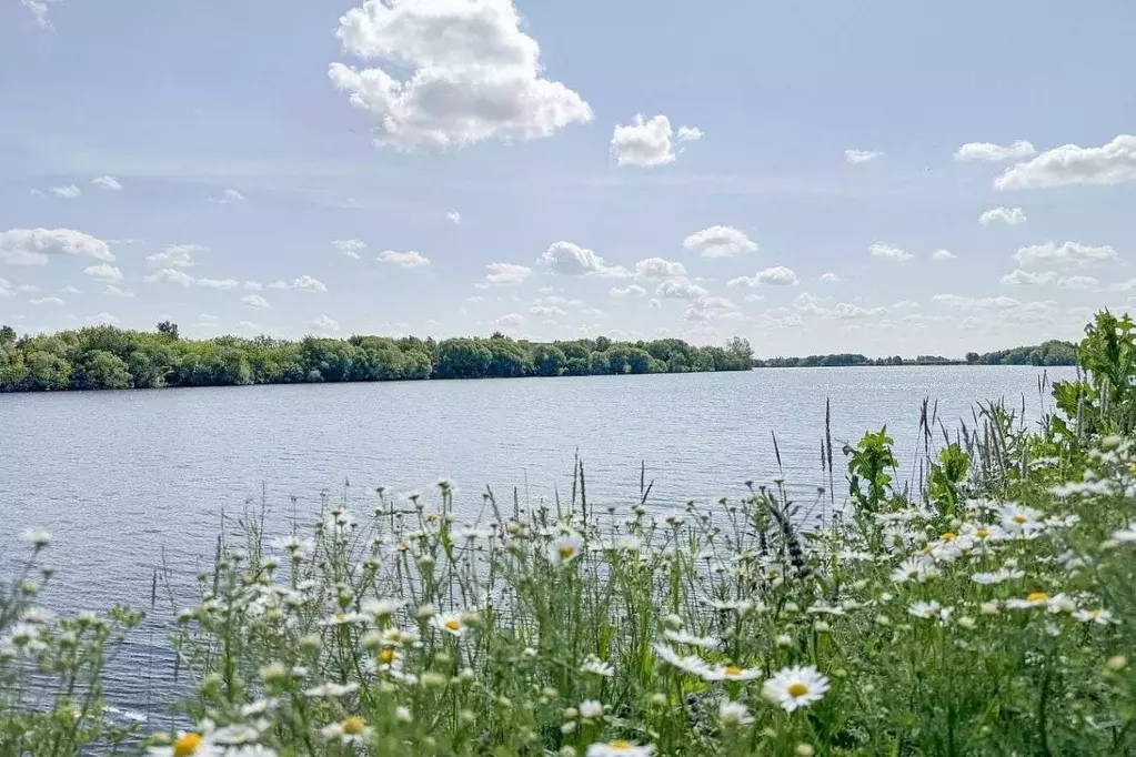 Участок в Московская область, Жуковский Жуковский Лайф кп, 137 (21.04 ... - Фото 0