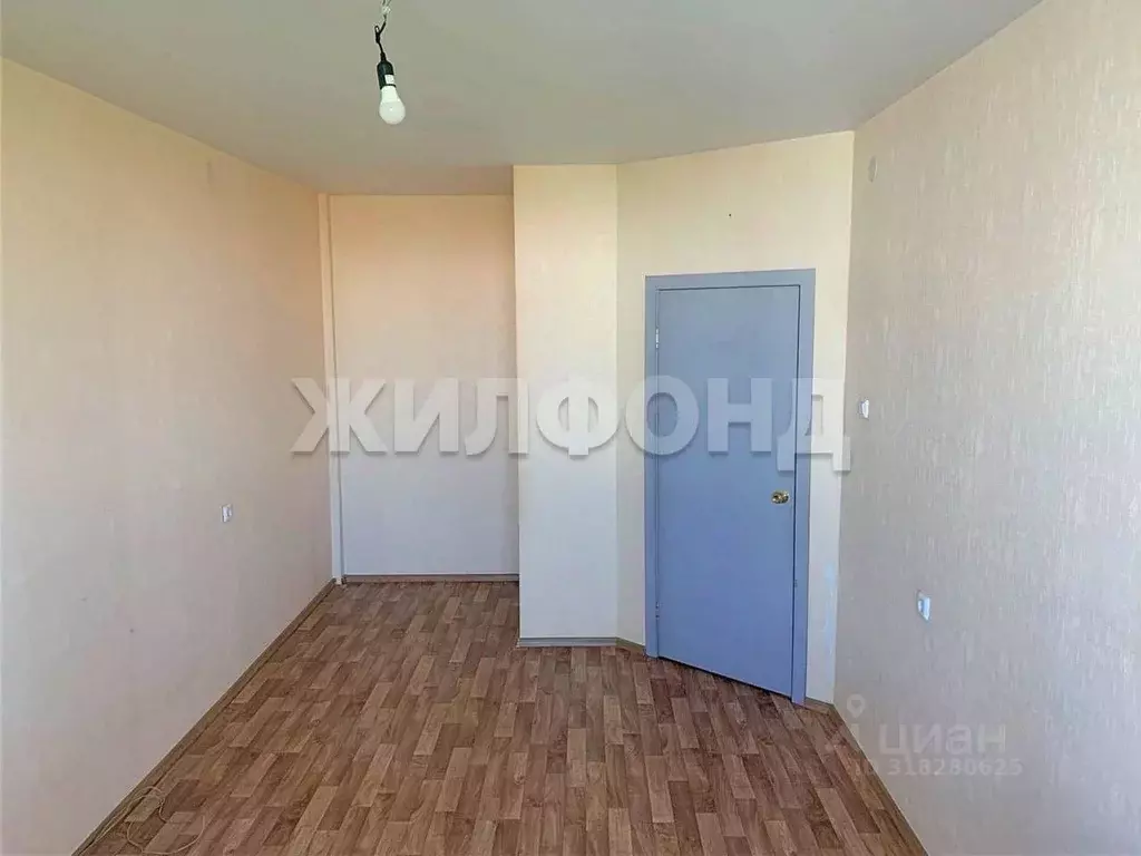 1-к кв. Новосибирская область, Новосибирск ул. Дмитрия Шмонина, 10 ... - Фото 1