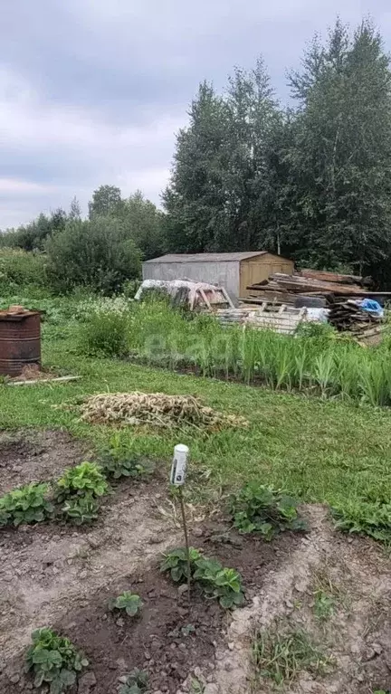 Дом в Новосибирская область, Новосибирск Буревестник Пашинский СНТ, № ... - Фото 1