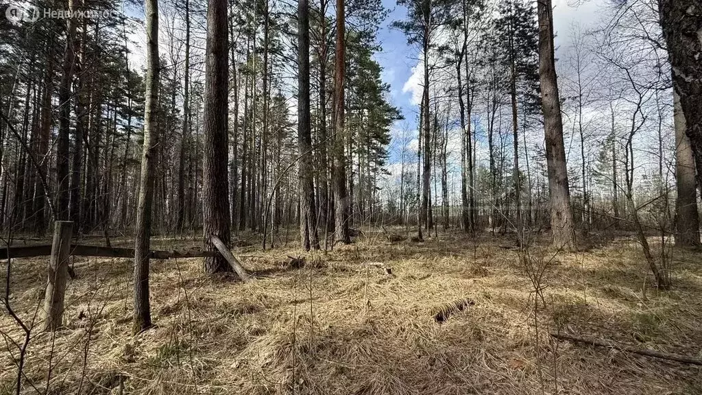 Участок в Нижнетавдинский район, Искинское сельское поселение (15 м) - Фото 1