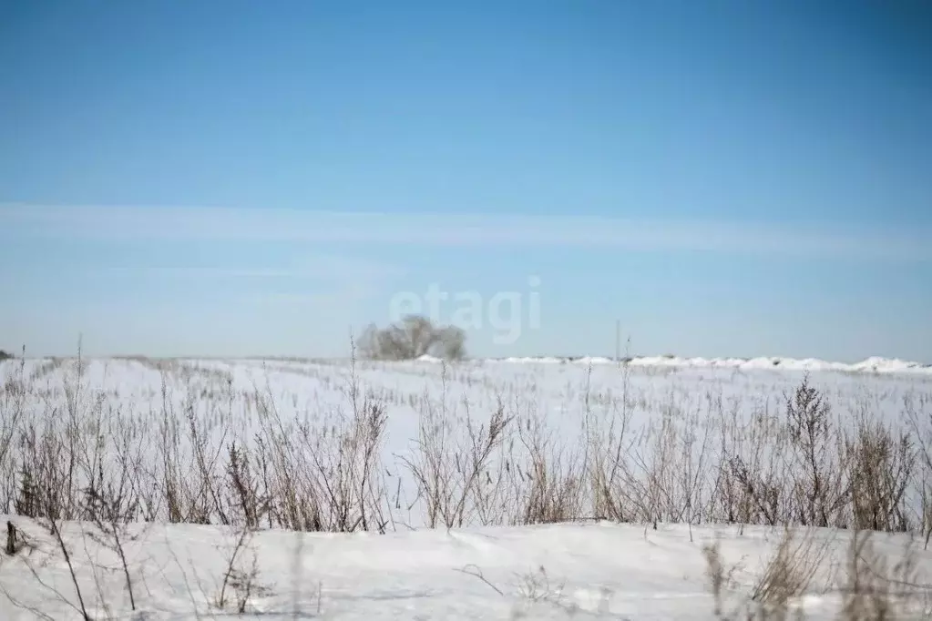 Участок в Пензенская область, Пенза Родниковая ул. (12.7 сот.) - Фото 0