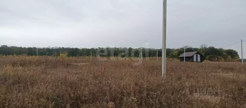 Участок в Белгородская область, Белгород ул. Ивана Кондратенко (16.26 ... - Фото 2