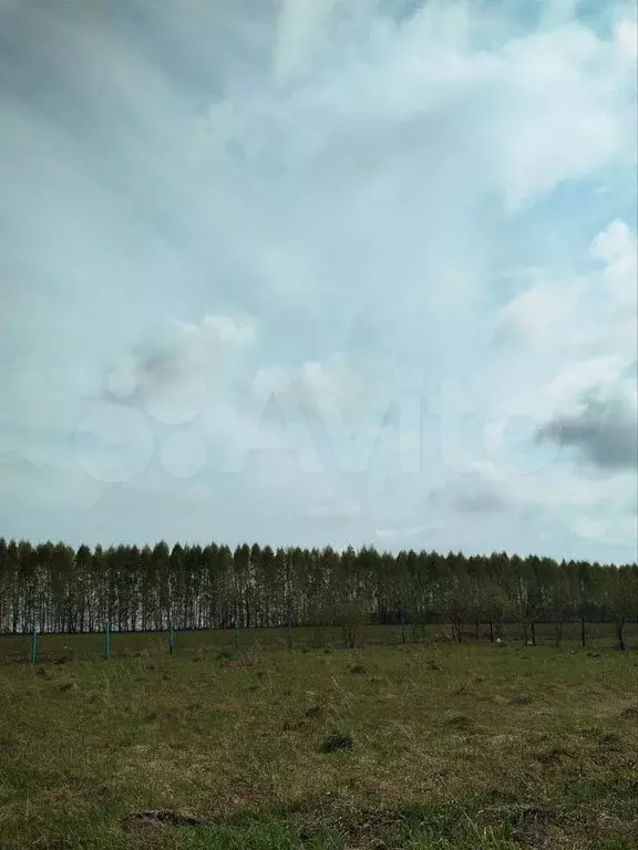 Участок 10 сот. (ИЖС) - Фото 0