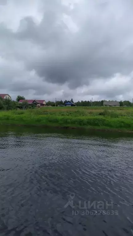 Участок в Новгородская область, Новгородский район, Савинское с/пос, ... - Фото 1