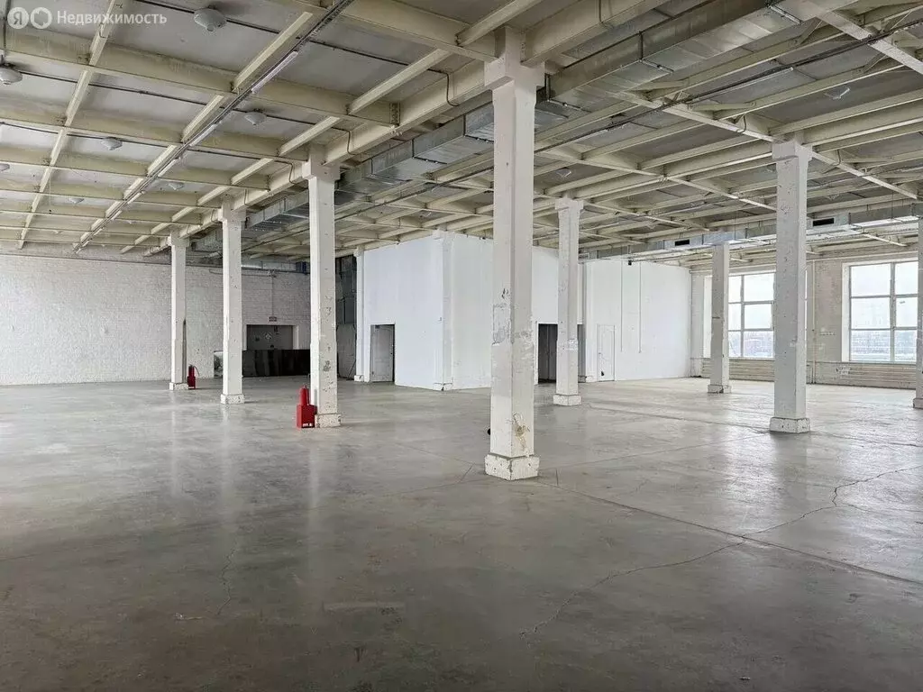 Помещение свободного назначения (1132.5 м) - Фото 1