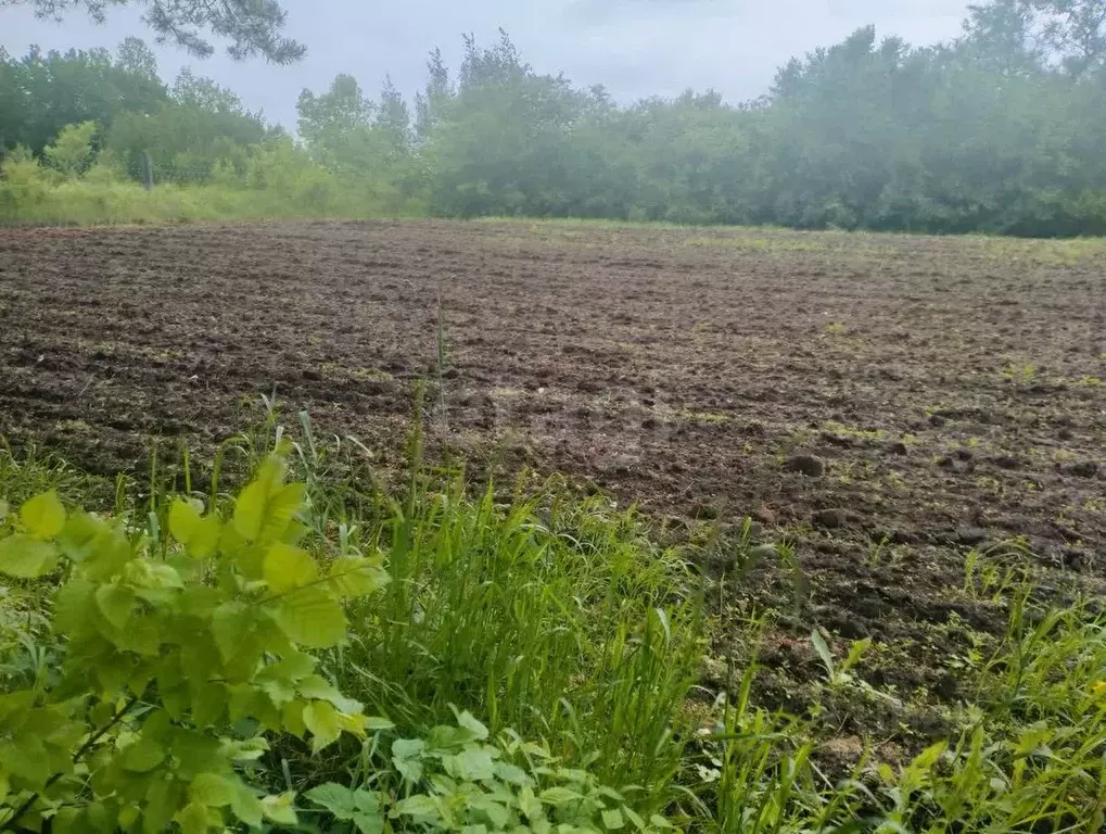Участок в Амурская область, Белогорский муниципальный округ, с. ... - Фото 1