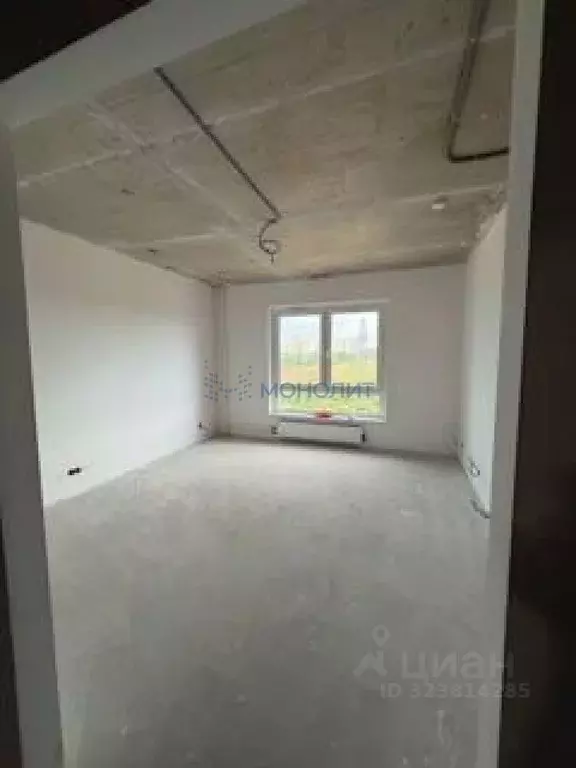 1-к кв. Нижегородская область, Нижний Новгород д. Анкудиновка, ул. ... - Фото 1