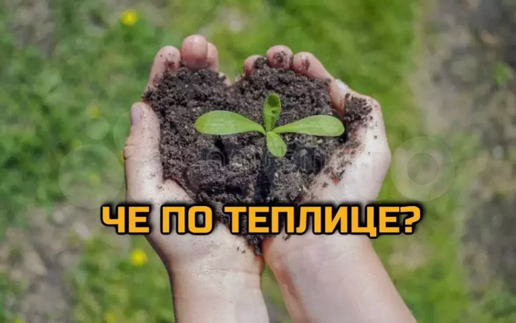 Участок 10 сот. (ИЖС) - Фото 0