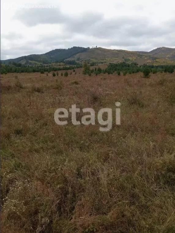 Участок в Кабанский район, село Оймур (6.2 м) - Фото 1