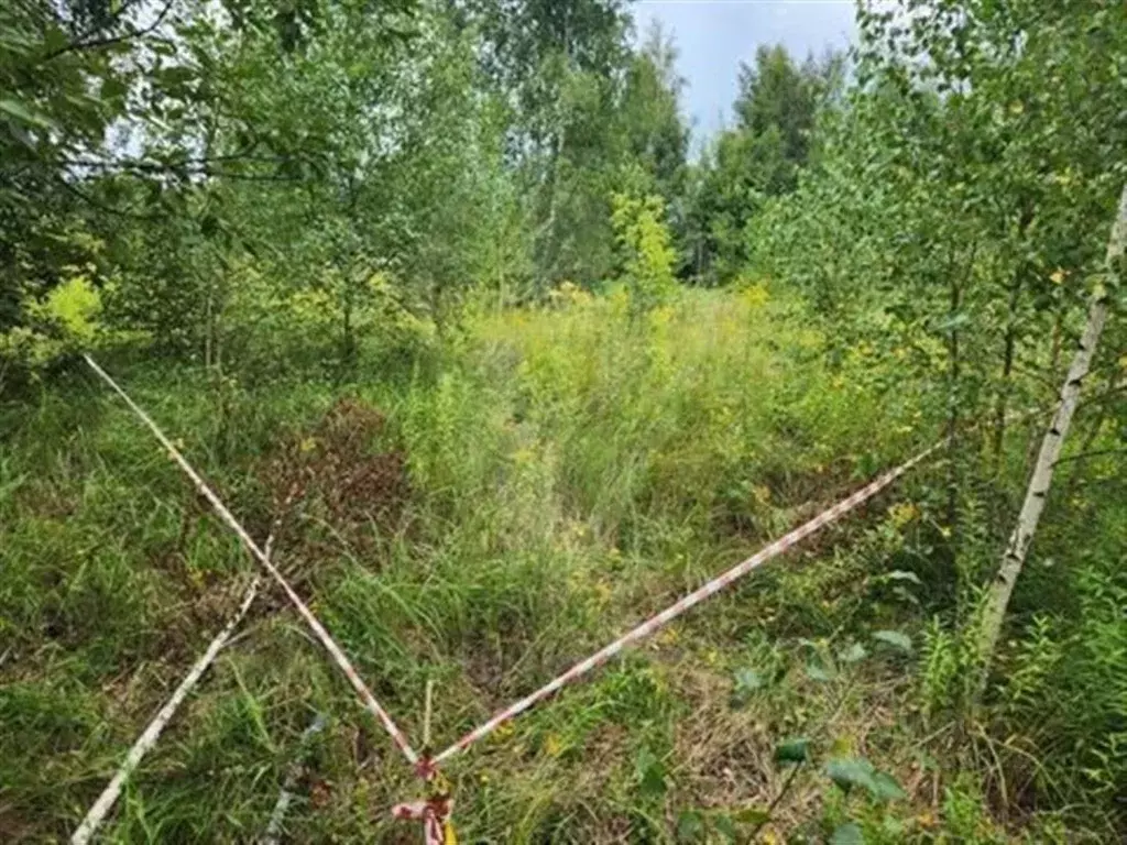 Участок в Рязанская область, Рязанский район, Варсковское с/пос, пос. ... - Фото 2