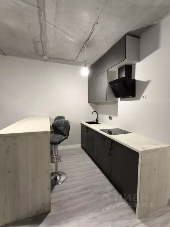 Студия Московская область, Пушкино Ярославское ш., 194к1 (28.0 м) - Фото 1