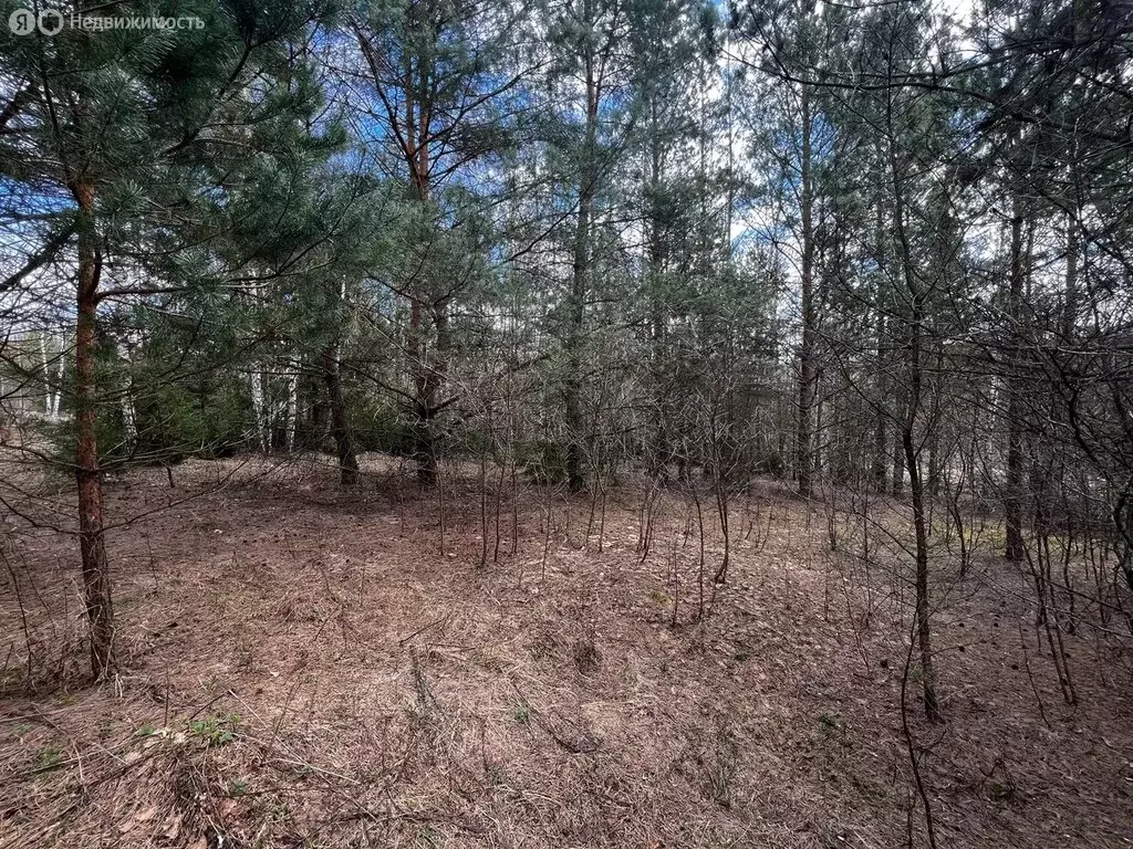 Участок в Калужская область, Перемышльский муниципальный округ, ... - Фото 2