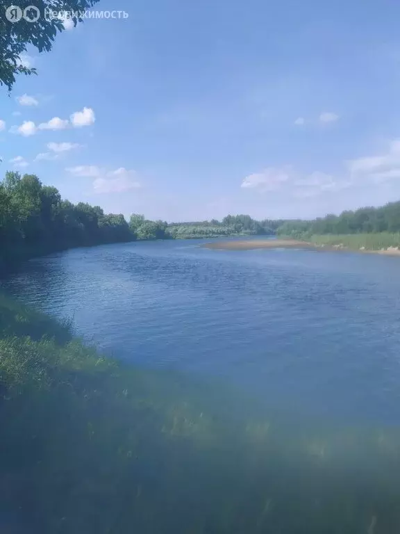 Участок в Алёховщинское сельское поселение (118 м) - Фото 1