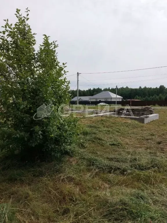 Участок в Тюменская область, Нижнетавдинский муниципальный округ, с. ... - Фото 2
