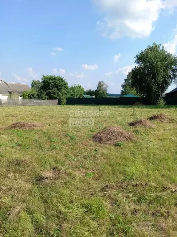 Участок в Вологодская область, д. Брагино  (13.0 сот.) - Фото 2