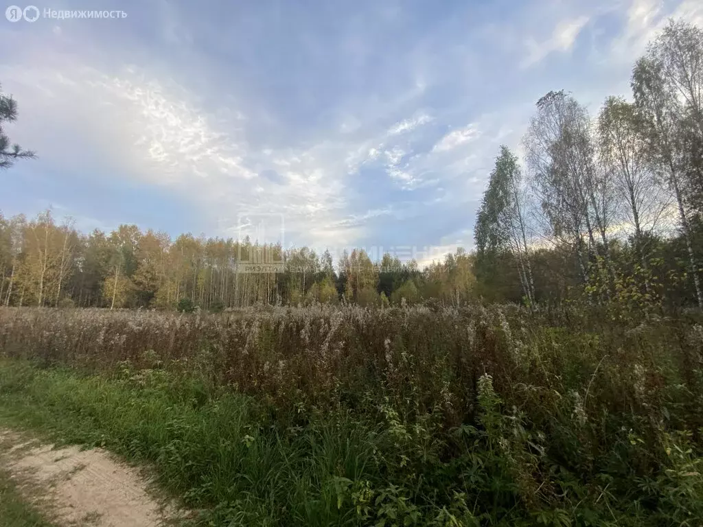 Участок в муниципальное образование Новосельское, село Любец (16.5 м) - Фото 0