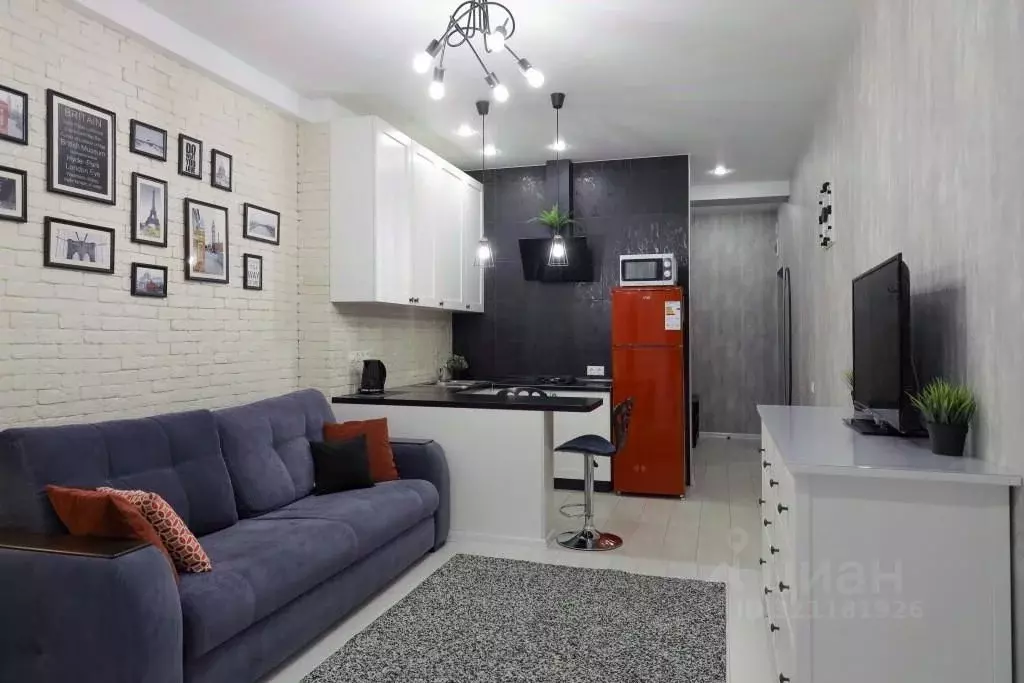 1-к кв. Краснодарский край, Сочи ул. Ленина, 219/8к4 (35.0 м) - Фото 1