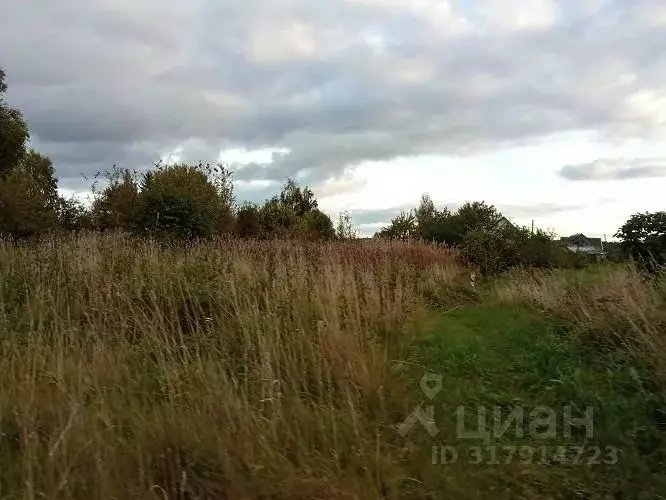 Участок в Псковская область, Псковский район, Тямшанская волость, д. ... - Фото 2