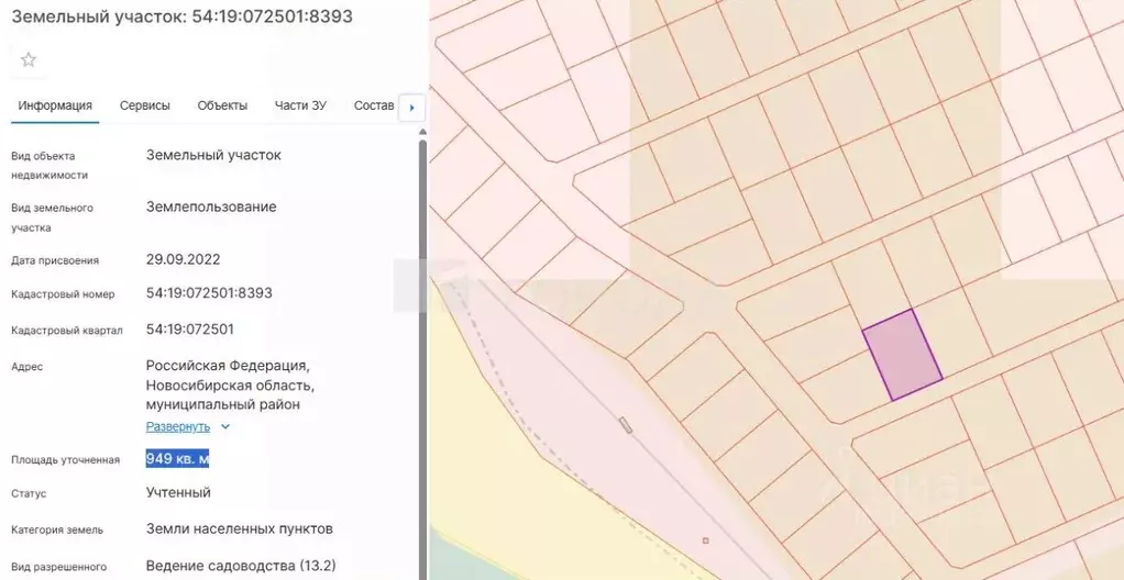 Участок в Новосибирская область, Новосибирский район, Морской ... - Фото 2