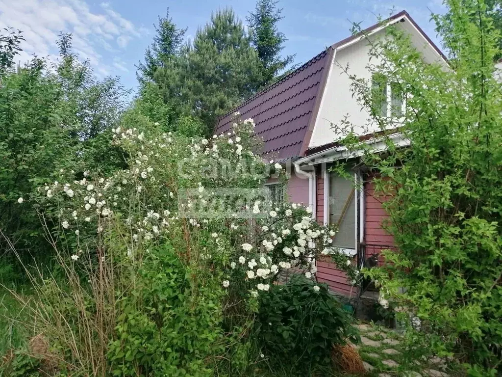 Дом в Калужская область, Перемышльский муниципальный округ, Большие ... - Фото 2