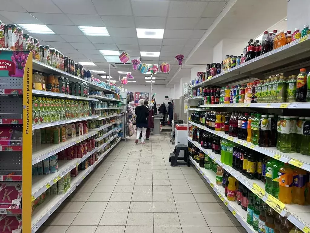 Помещение свободного назначения в Башкортостан, Уфа Борисоглебская ... - Фото 1