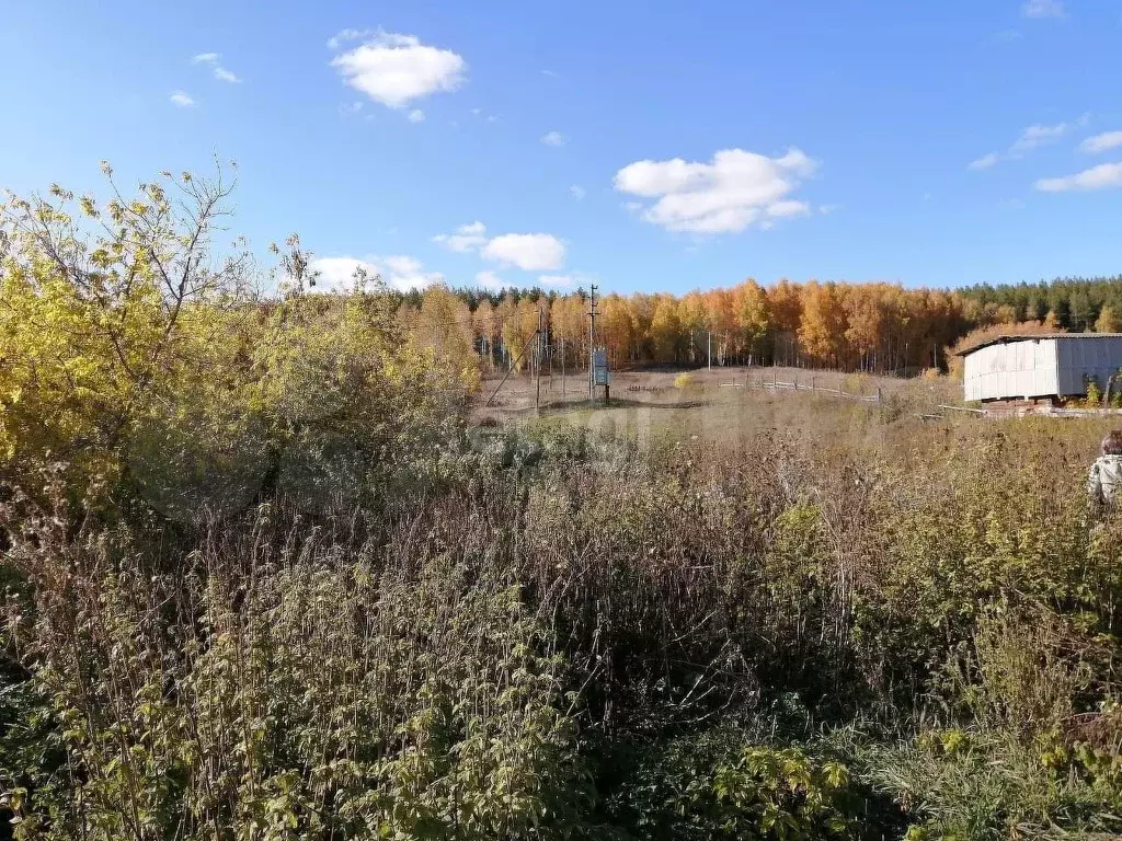 Дом 38,3 м на участке 33,5 сот. - Фото 1