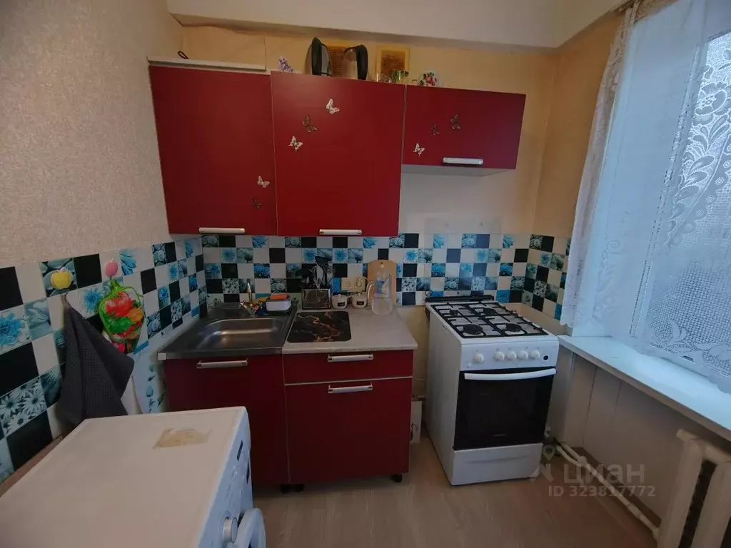 1-к кв. Ленинградская область, Волосовский район, д. Большая Вруда 3 ... - Фото 1