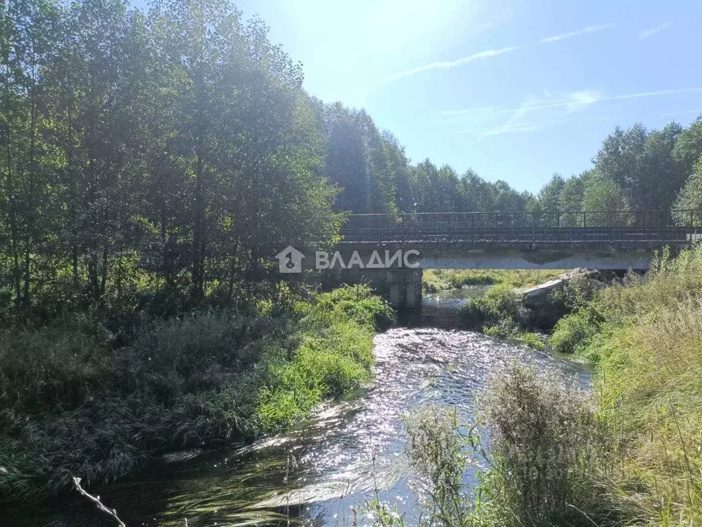 Участок в Владимирская область, Ковровский район, Доброград ... - Фото 1