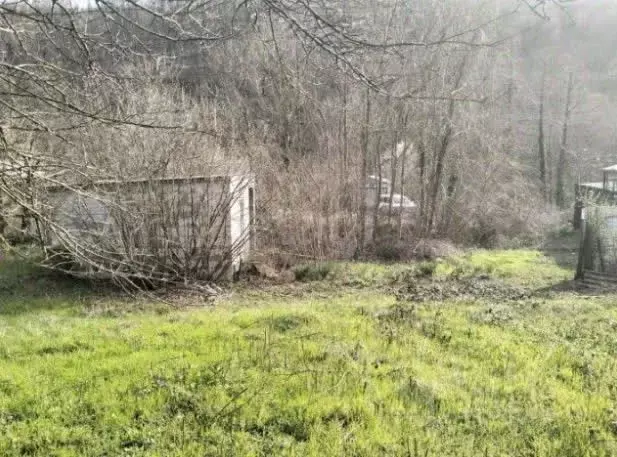 Участок в Краснодарский край, Геленджик городской округ, Строитель СТ  ... - Фото 2