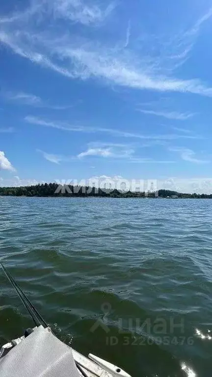 Участок в Новосибирская область, Ордынский район, с. Новопичугово ... - Фото 0