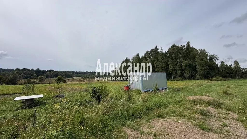 Участок в Ленинградская область, Выборгский район, Советское городское ... - Фото 2