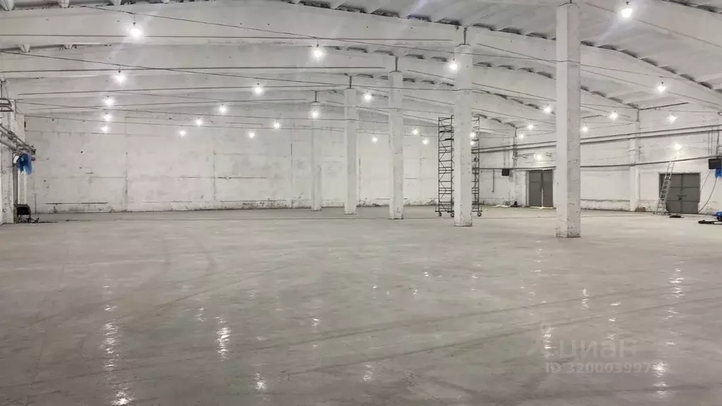 Склад в Свердловская область, Екатеринбург ул. Ангарская, 77Б (4000 м) - Фото 2