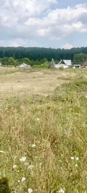 Участок в Пензенская область, Пензенский район, Воскресеновский ... - Фото 1