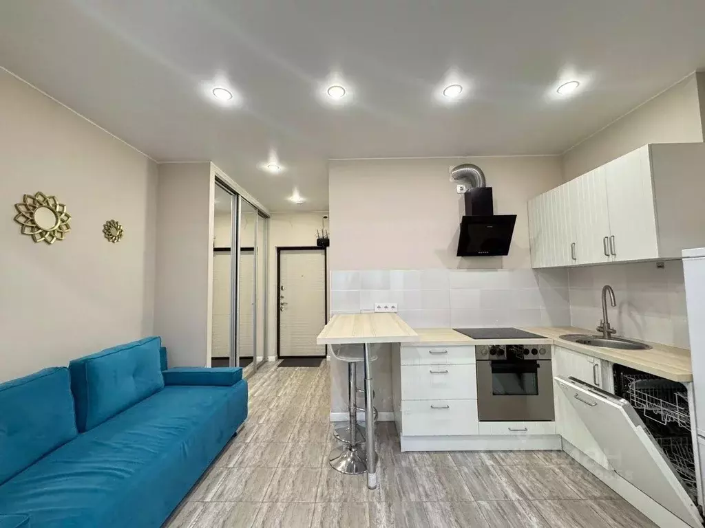 Студия Московская область, Балашиха ул. Лукино, 51А (31.7 м) - Фото 2