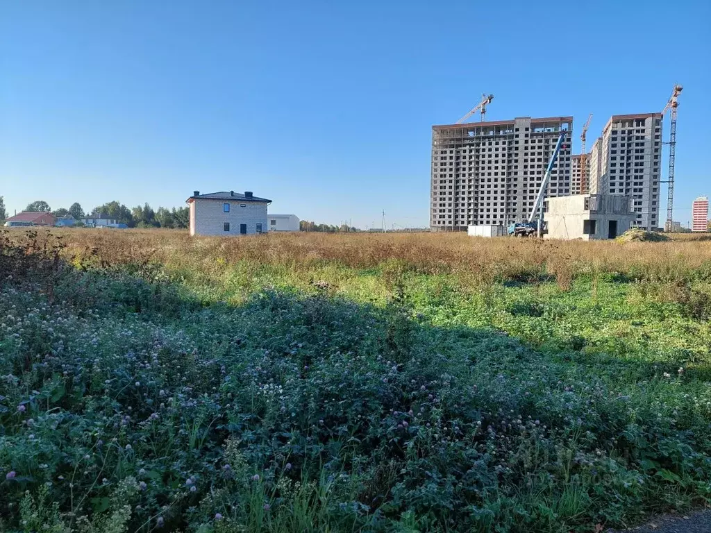 Участок в Московская область, Пушкино Новая Деревня мкр, Колхозная ... - Фото 2