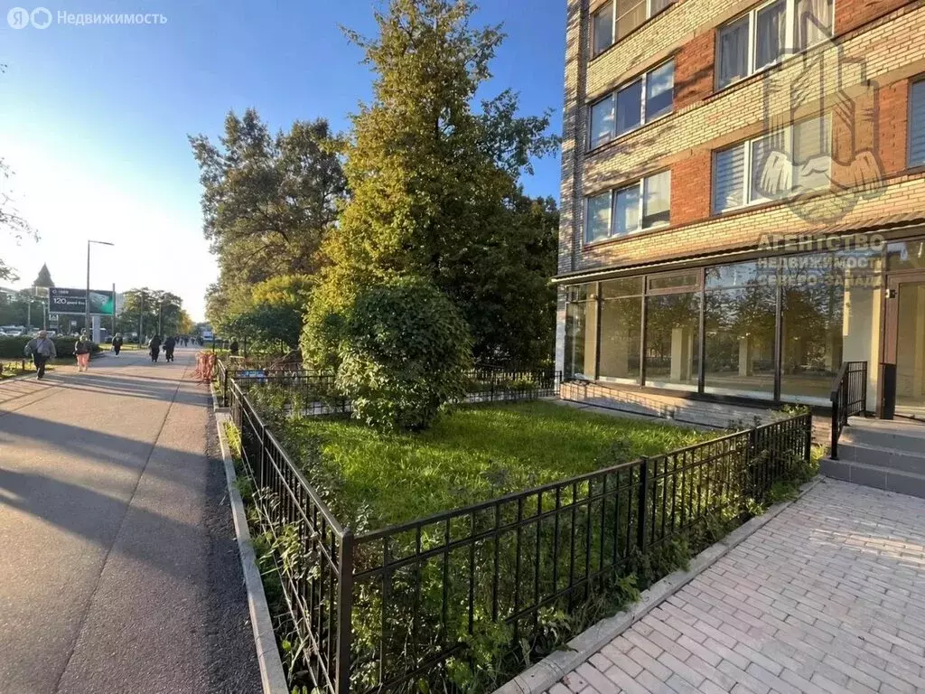 Помещение свободного назначения (129.2 м) - Фото 2