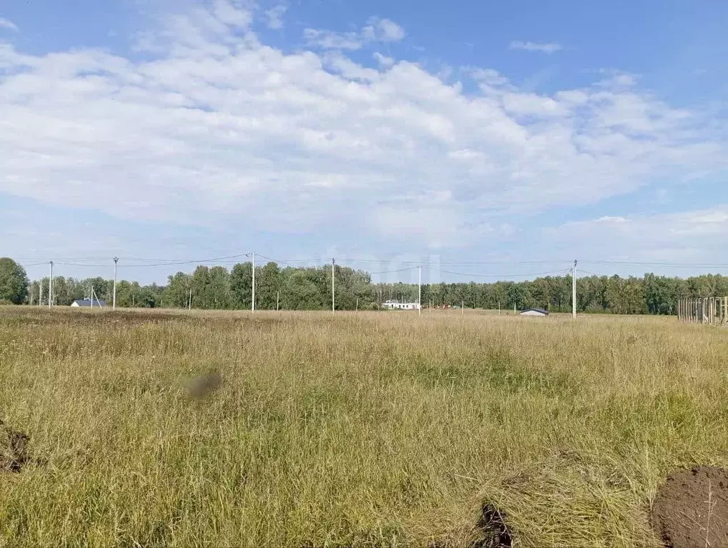 Участок в Алтайский край, Первомайский район, с. Фирсово, Полесье мкр  ... - Фото 1
