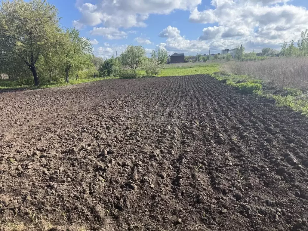 Участок в Брянская область, Брянск СО Ласточка тер.,  (7.0 сот.) - Фото 1