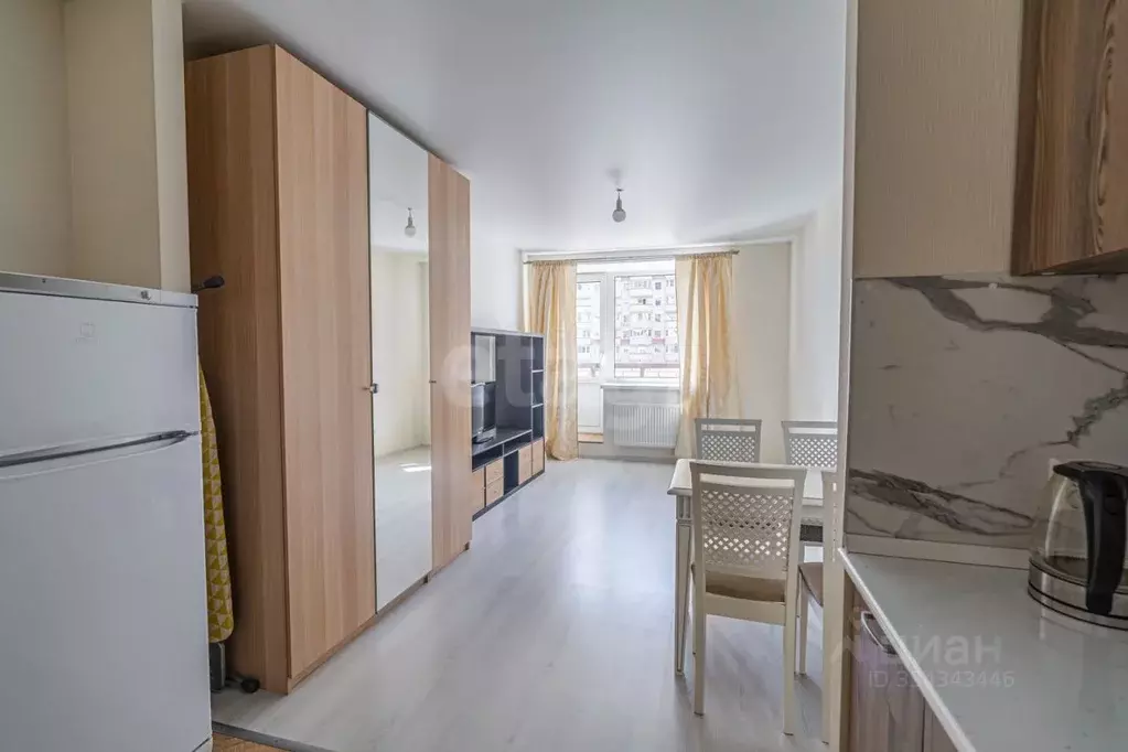 Студия Санкт-Петербург просп. Металлистов, 117 (27.2 м) - Фото 1