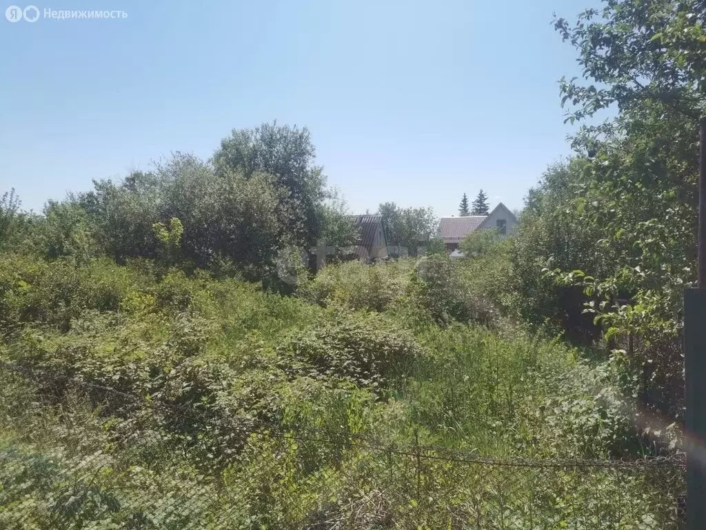 Участок в Миловский сельсовет, СНТ Озёрное (4 м) - Фото 1