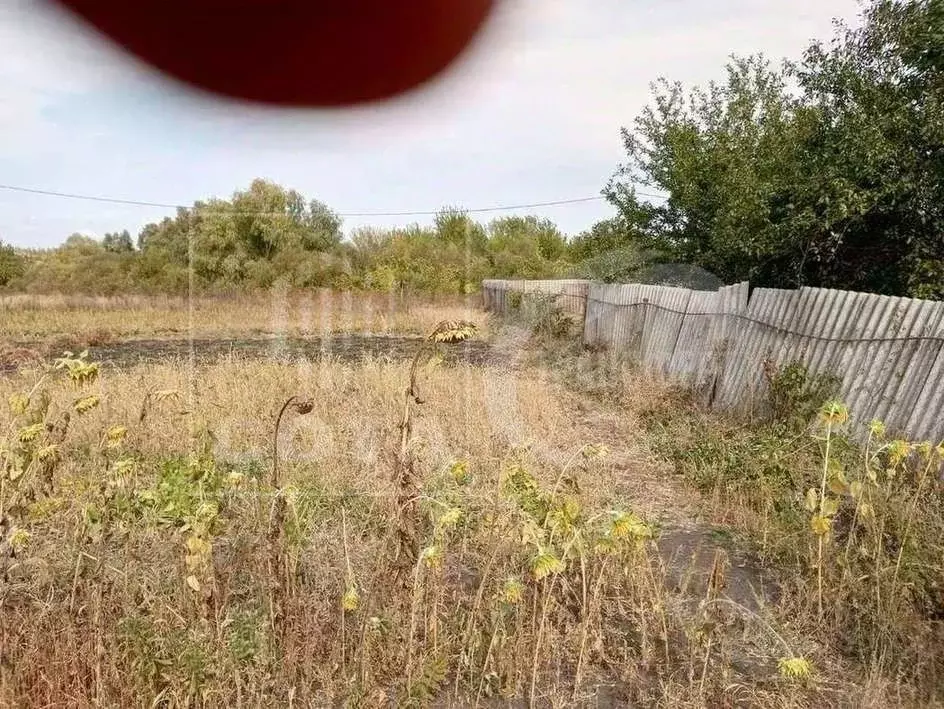 Участок в Воронежская область, Новоусманский район, Усманское 1-е ... - Фото 0