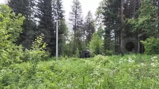 Дом 42,3 м на участке 20 сот. - Фото 1