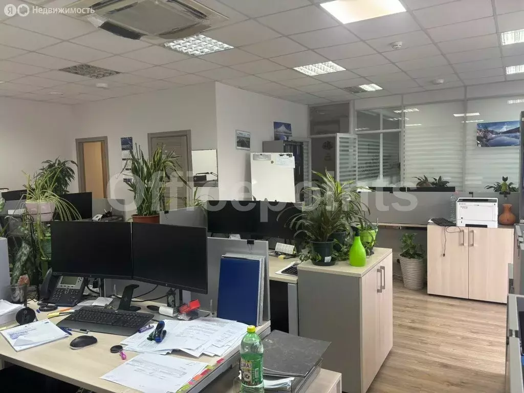 Офис (244.5 м) - Фото 0