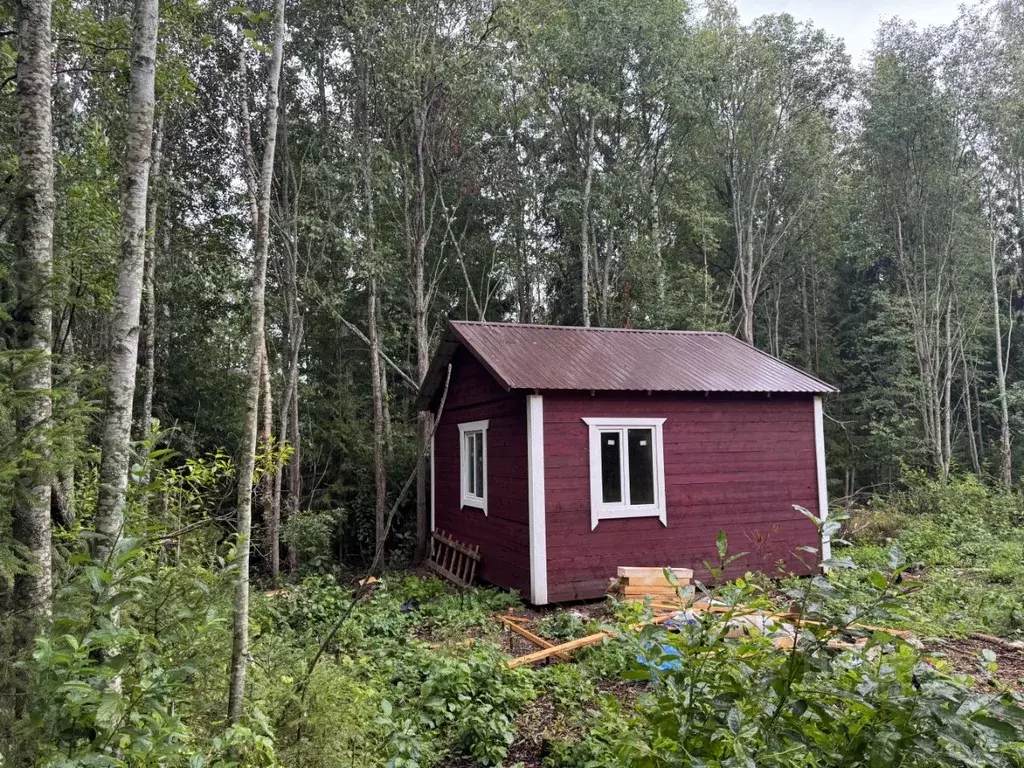 Участок в Карелия, Прионежский район, Шокшинское с/пос, пос. ... - Фото 1