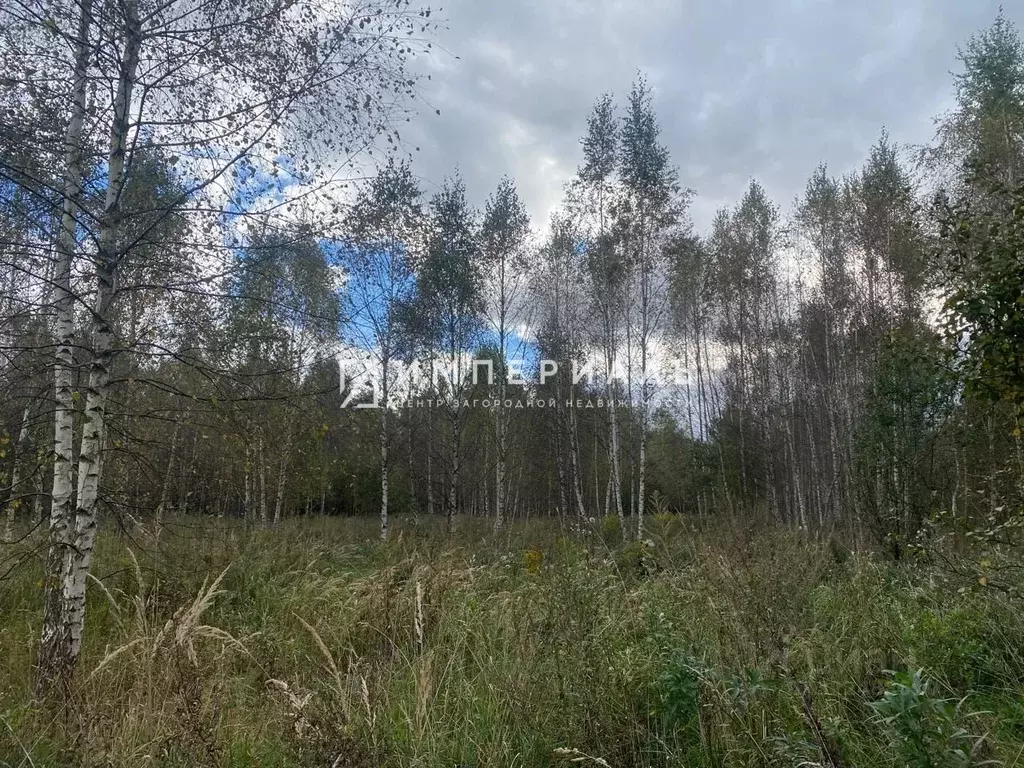 Участок в Калужская область, Жуковский муниципальный округ, Высокиничи ... - Фото 2